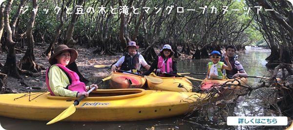 マングローブツアー　40代・男性