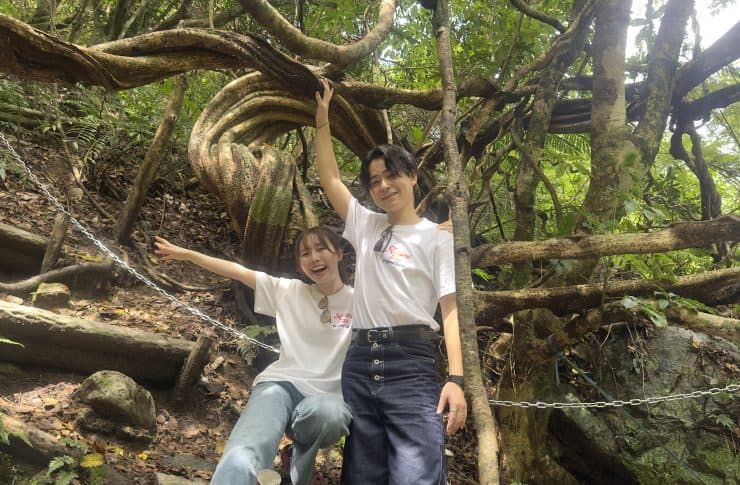 【ジャックと豆の木と滝とマングローブカヌーツアー】※貸切オプションあり