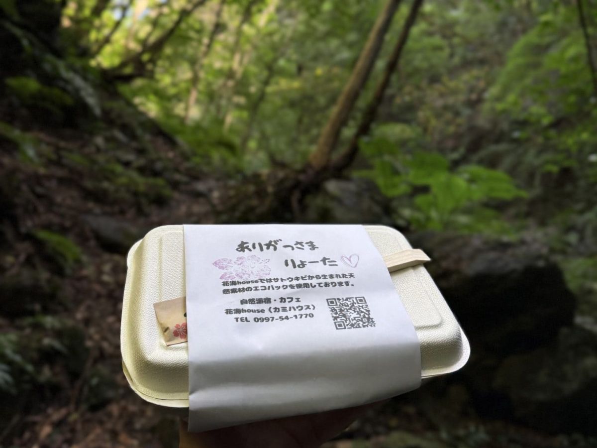 ツアー画像