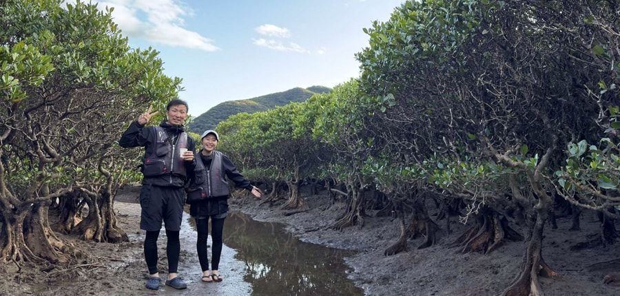 ジャックの豆の木と滝とマングローブカヌーツアー【貸切可】
