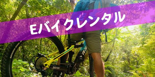 奄美大島でレンタサイクル