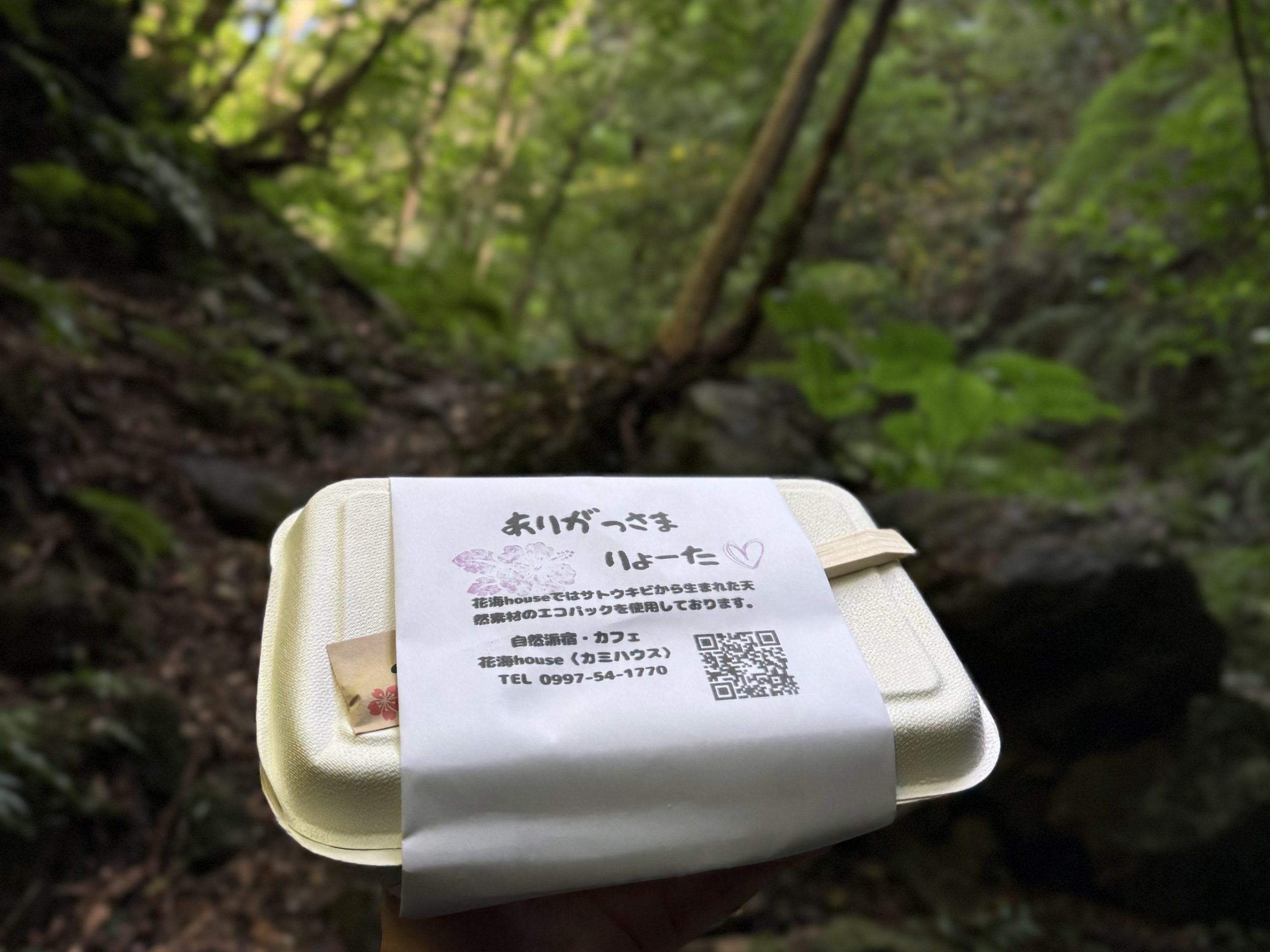 昼食は奄美産の食材をふんだんに使った民宿「花海ハウス」さんの島弁当！森の中で、或いは綺麗な白いビーチで海を見ながら。時間を忘れて、普段話さないような会話をしてみたり。五感を存分に休ませて。